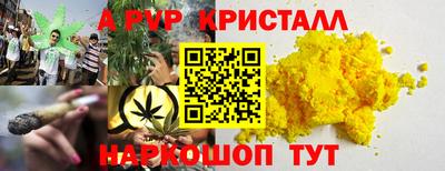 спиды Моздок