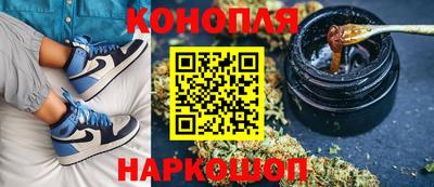 спиды Моздок
