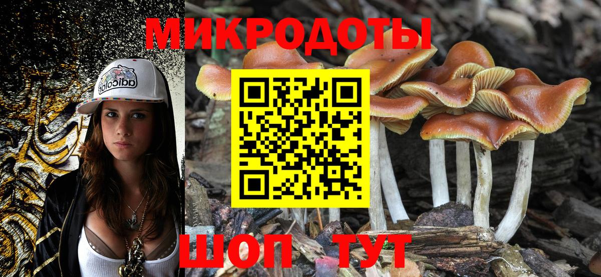 Псилоцибиновые грибы мицелий Богородицк